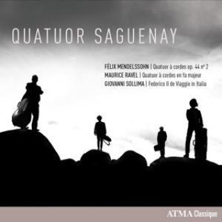 Audio  Streichquartette 