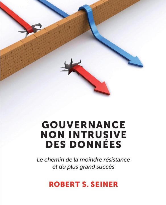 Kniha Gouvernance Non Intrusive Des Donnees 