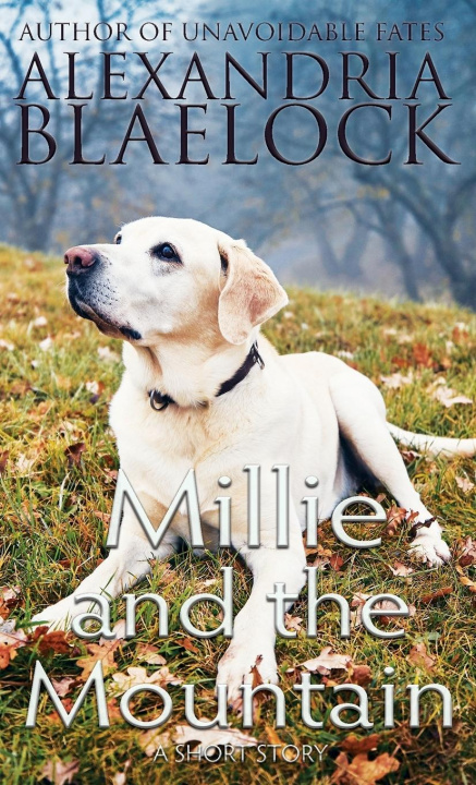 Libro Millie and the Mountain Alexandria Blaelock