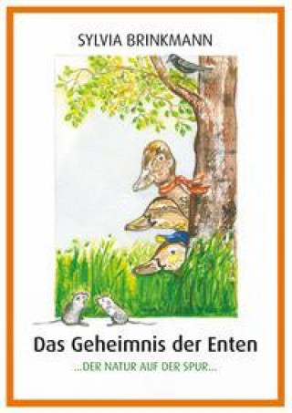 Book Das Geheimnis der Enten Sylvia Brinkmann