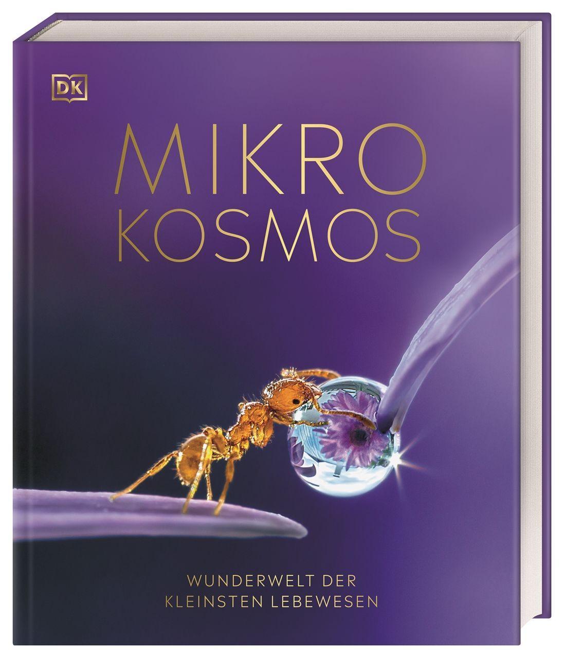Carte Mikrokosmos - Wunderwelt der kleinsten Lebewesen Elizabeth Wood