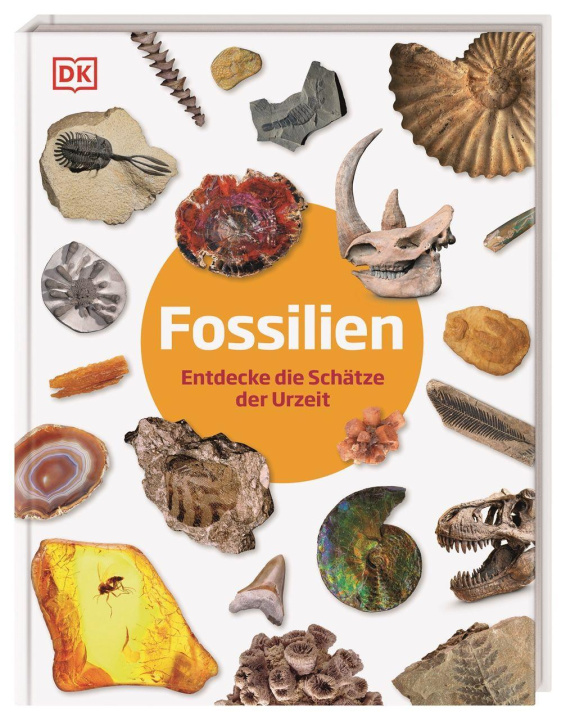 Boek Fossilien Christine Condé