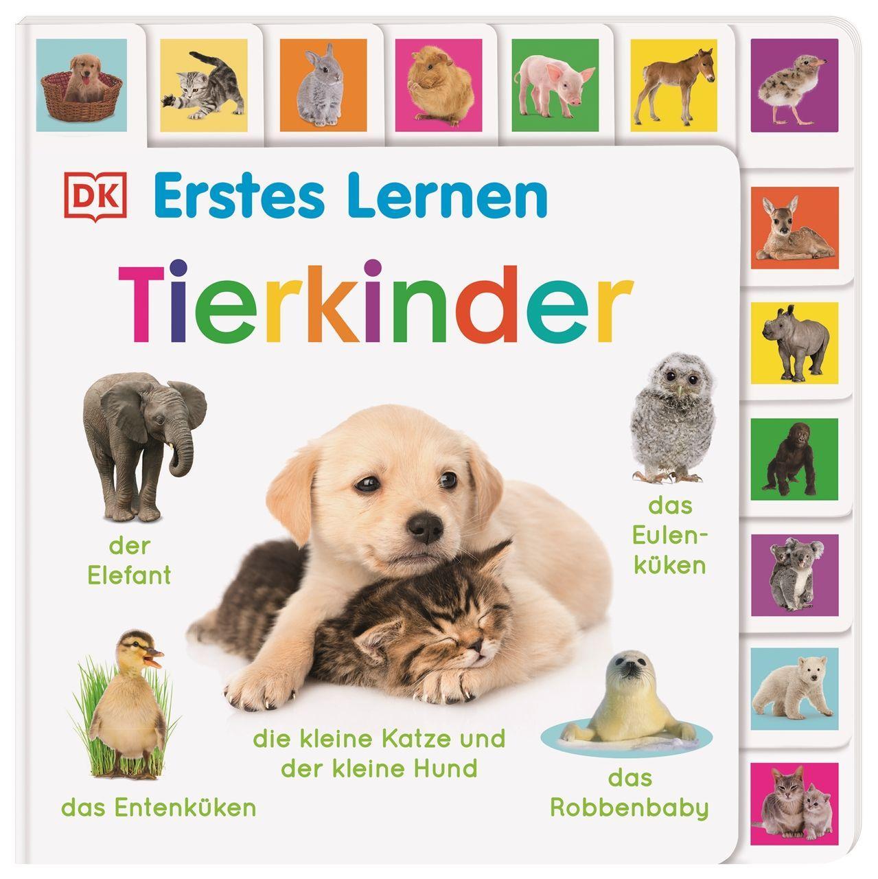 Kniha Erstes Lernen. Tierkinder 