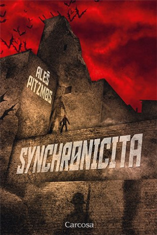 Kniha Synchronicita Aleš Pitzmos
