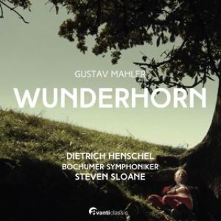 Zvok Gustav Mahler: Wunderhorn 