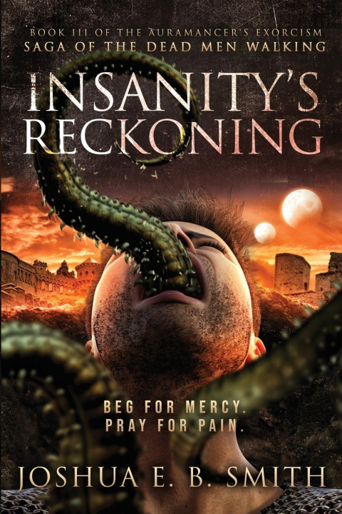 Kniha Insanity's Reckoning Joshua E. B. Smith