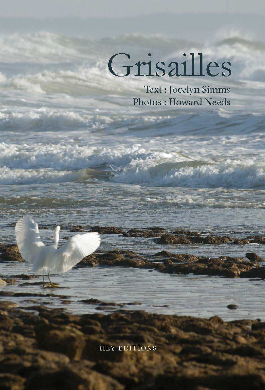 Knjiga Grisailles SIMMS