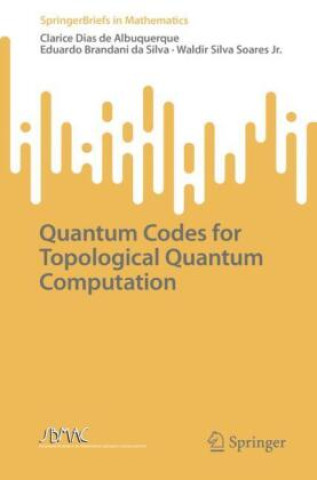 Knjiga Quantum Codes for Topological Quantum Computation Clarice Dias de Albuquerque