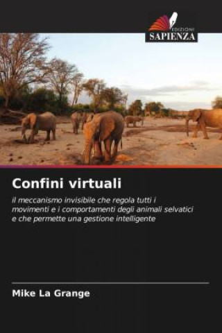 Книга Confini virtuali 