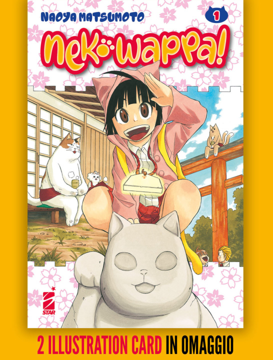 Kniha Neko Wappa! Naoya Matsumoto