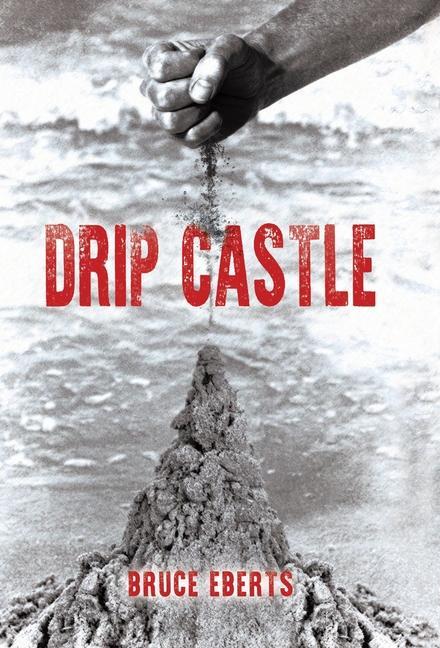 Book Drip Castle Bruce Eberts