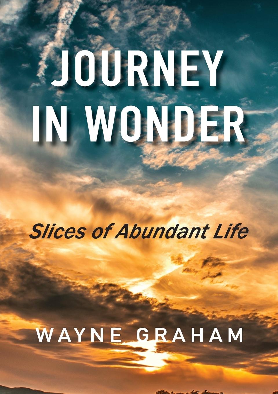 Knjiga Journey in Wonder Wayne Graham