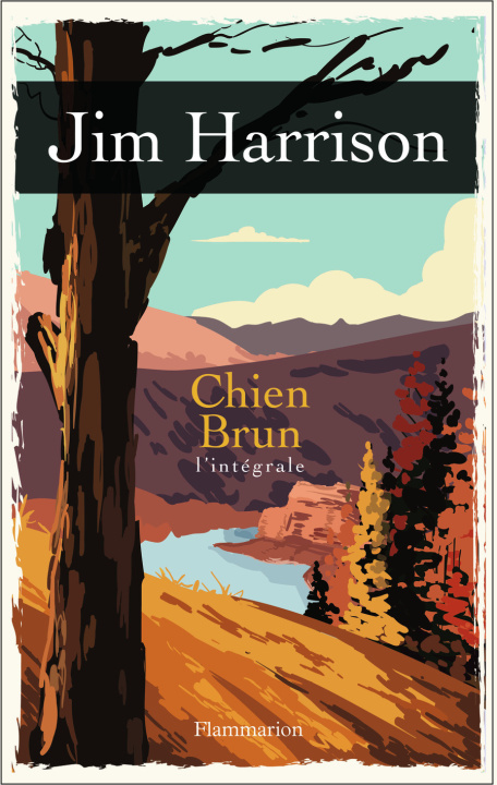 Kniha Chien Brun JIM HARRISON