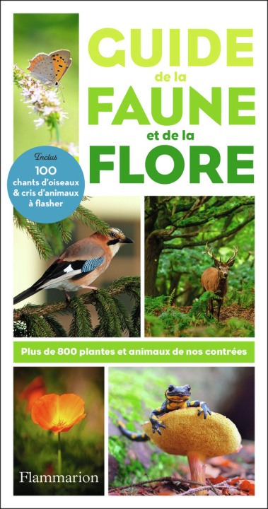 Knjiga Guide de la faune et de la flore WILHELM EISENREICH / ALFRED HANDEL / UTE E. ZIMMER