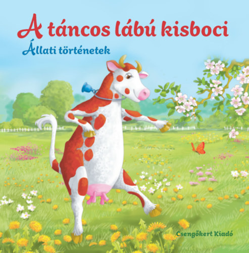 Könyv A táncos lábú kisboci Miroslawa Kwiecinska