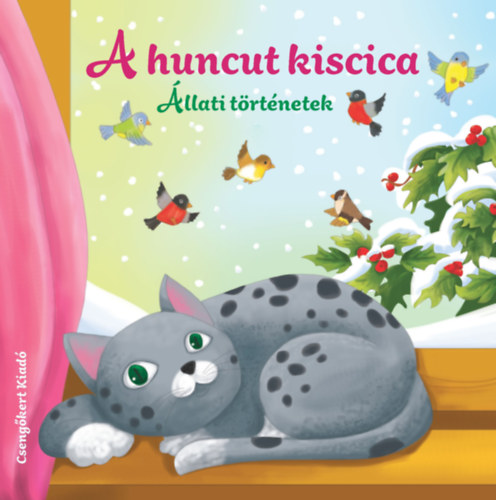 Könyv A huncut kiscica Miroslawa Kwiecinska