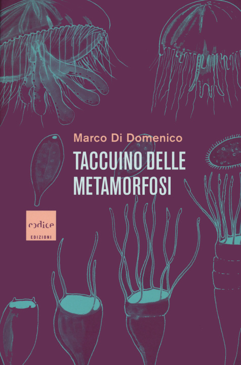 Könyv Taccuino delle metamorfosi Marco Di Domenico