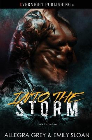 Kniha Into the Storm Allegra Grey
