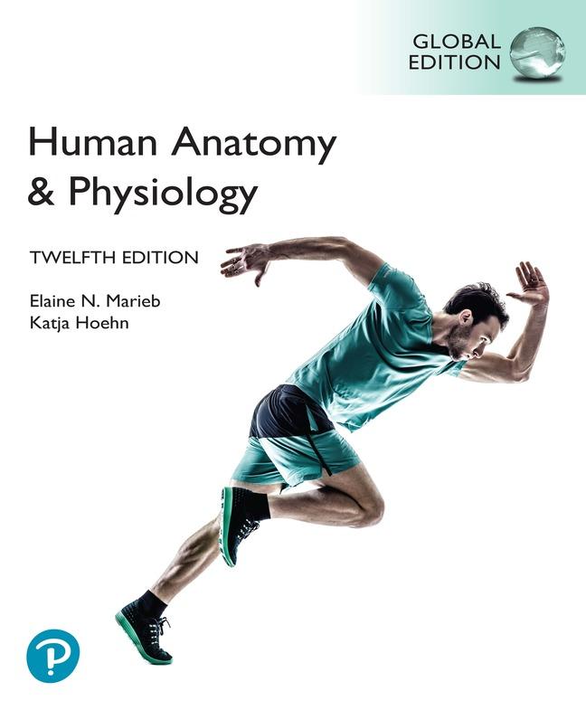 Könyv Human Anatomy & Physiology, Global Edition Katja Hoehn