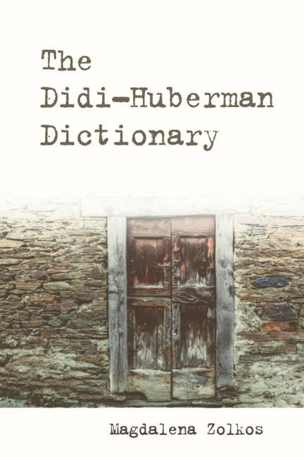 Livre THE DIDI HUBERMAN DICTIONARY 