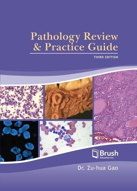 Kniha Pathology Review and Practice Guide 
