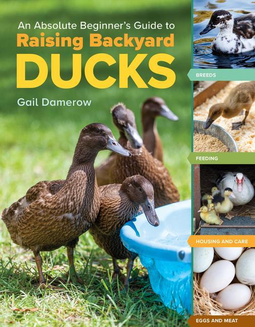 Książka Absolute Beginner's Guide to Raising Backyard Ducks: Breeds, Feeding, Housing and Care, Eggs and Meat 