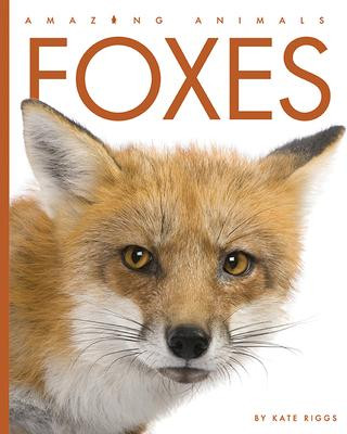 Knjiga Foxes 