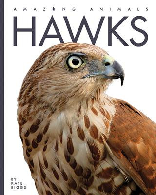 Knjiga Hawks 