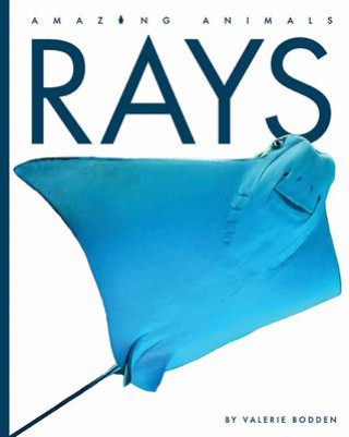 Knjiga Rays 