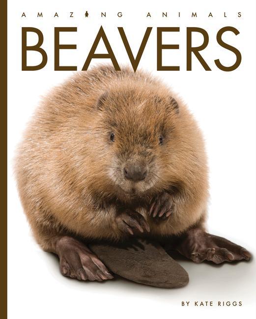Knjiga Beavers Riggs