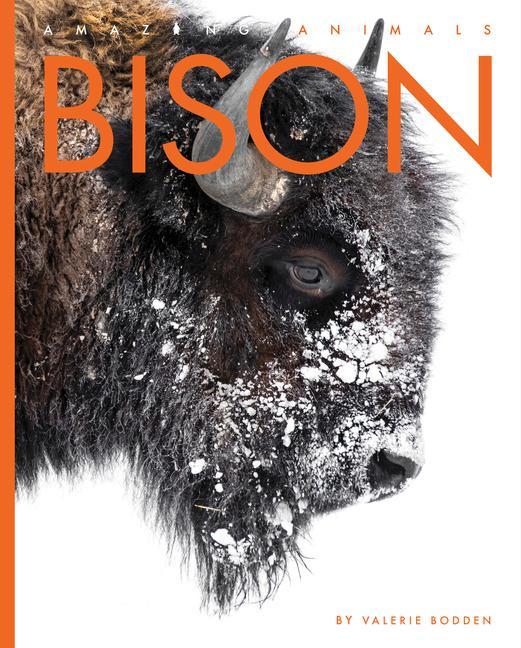Knjiga Bison Bodden