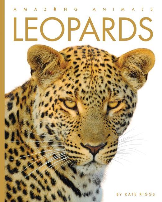 Carte Leopards 