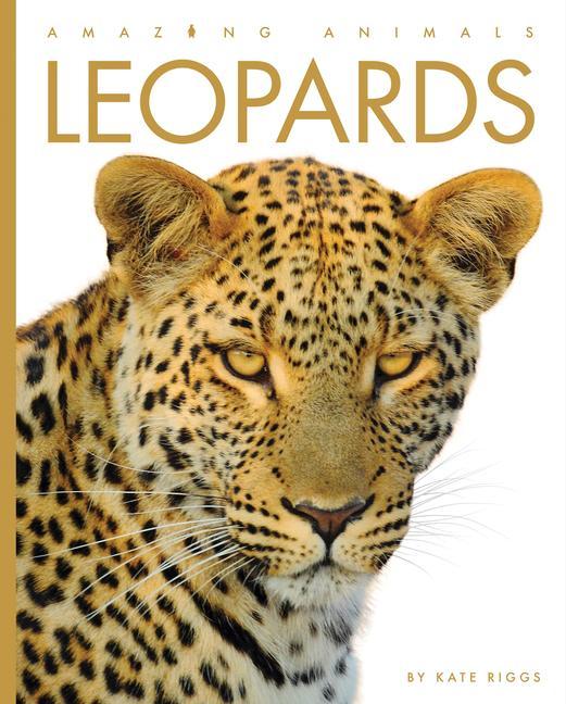 Kniha Leopards 