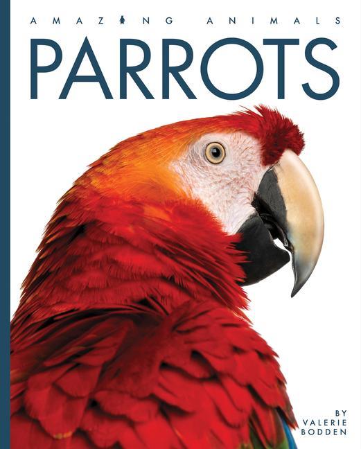 Książka Parrots 