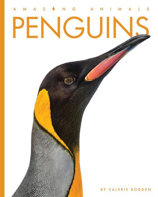 Kniha Penguins 