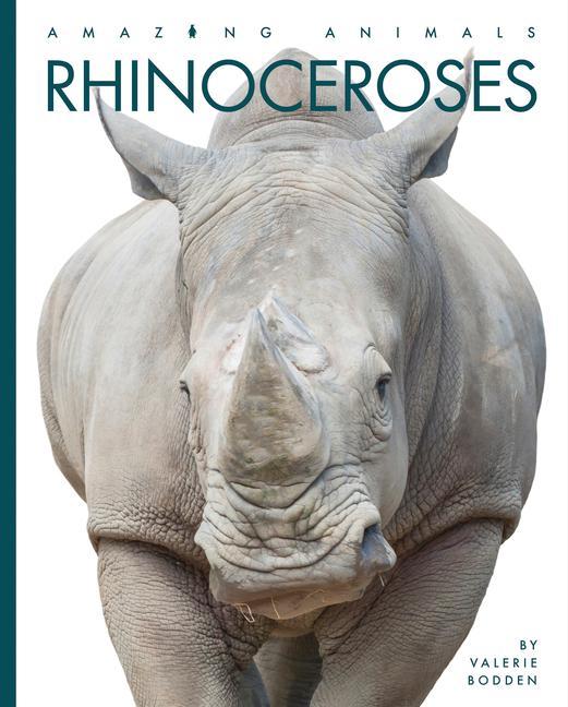 Könyv Rhinoceroses 