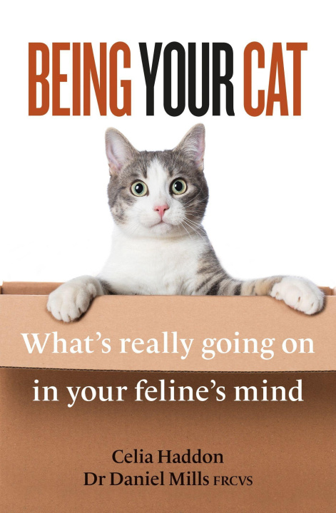Βιβλίο Being Your Cat Haddon