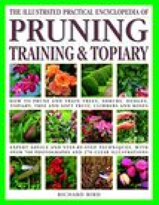 Könyv Pruning, Training & Topiary, Illustrated Practical Encyclopedia of 