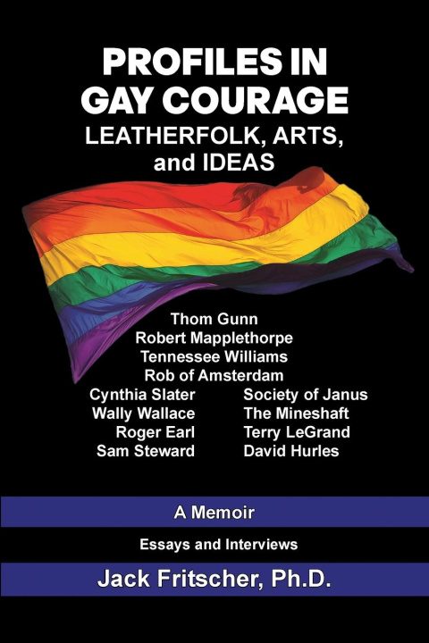 Kniha Profiles in Gay Courage Mark Hemry