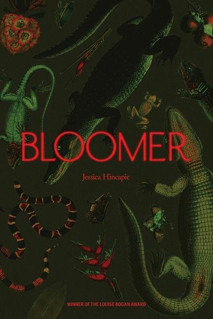 Knjiga Bloomer Jessica Hincapie
