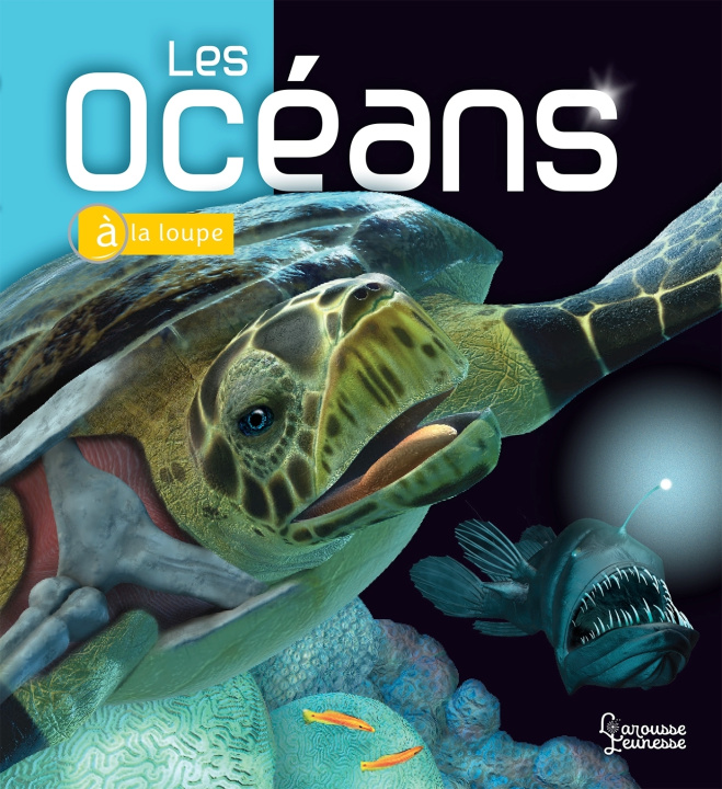 Knjiga Les Océans Beverly McMillan