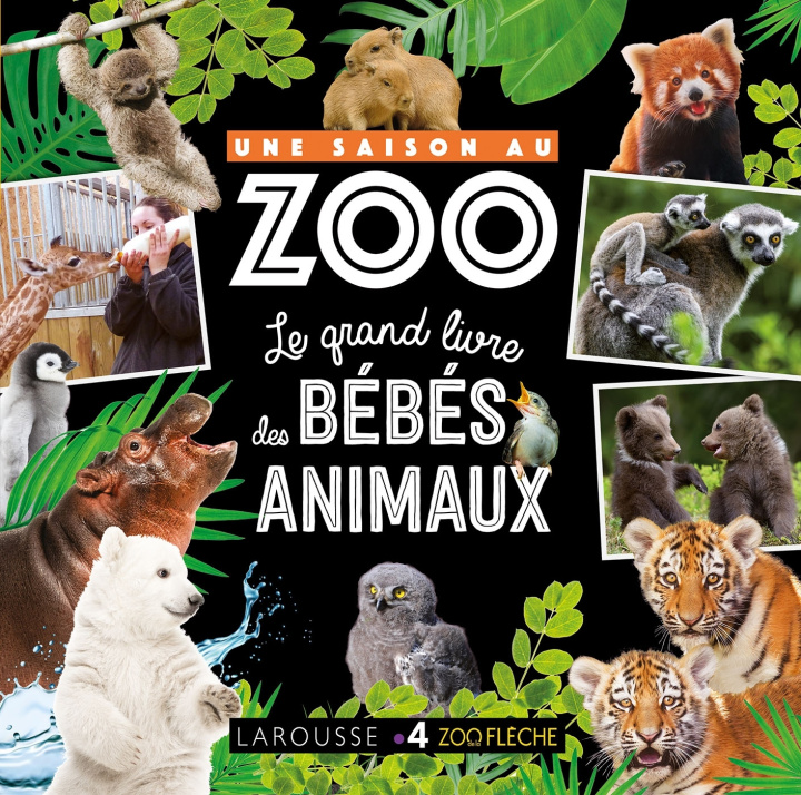 Książka Une saison au zoo Le grand livre des bébés animaux collegium