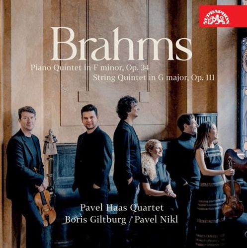 Audio Brahms Kvintety op. 34 & 111 Pavel Nikl
