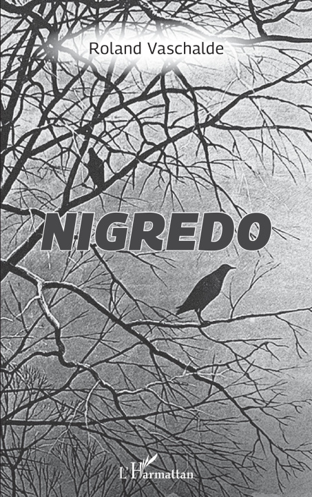Knjiga Nigredo Vaschalde
