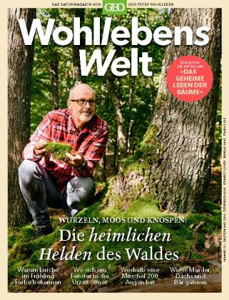 Carte Wohllebens Welt 13/2022 - Die heimlichen Helden des Waldes Peter Wohlleben