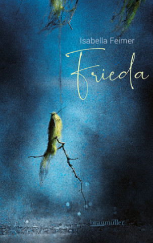 Knjiga Frieda Isabella Feimer