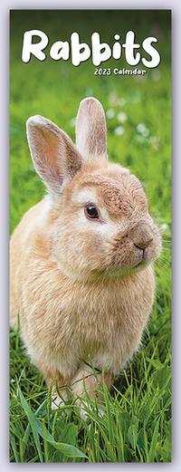 Kalendář/Diář Rabbits 2023 Slim Calendar 
