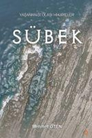 Knjiga Sübek 
