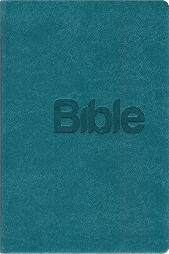 Kniha Bible 21 