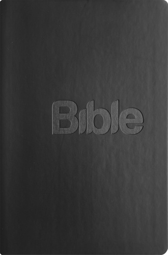 Książka Bible 21 